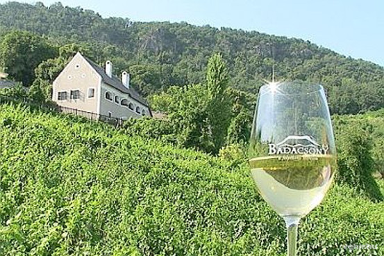 (forrás: hungaryprogramtourism.com)