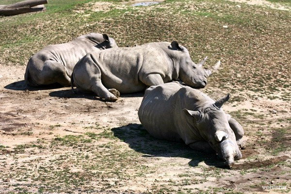 Pablo és családja még nem is sejti, hogy hamarosan új otthont kapnak