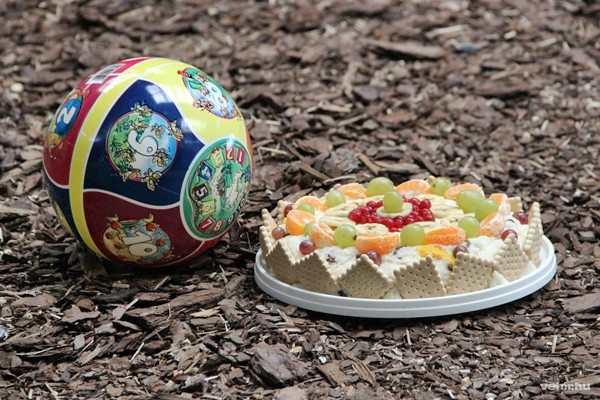 Egészséges életmód a Csimpánzvilágban: sport és cukormentes táplálkozás