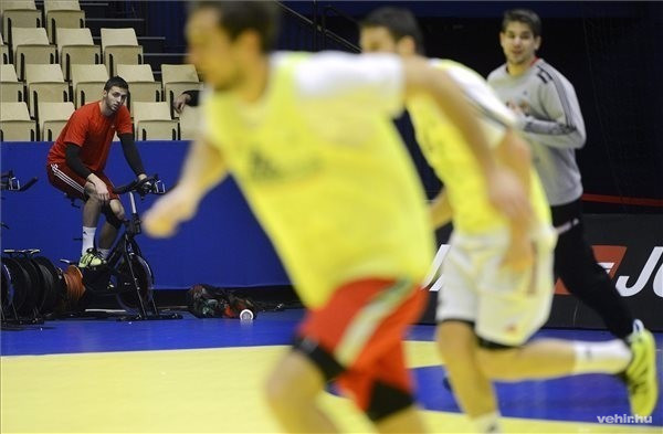 A dánok ellen térdsérülést szenvedett Ancsin Gábor (b) a férfi kézilabda Európa-bajnokságon résztvevő magyar válogatott edzésén Dániában, a herningi Boxenben arénában 2014. január 21-én. A magyar csapat január 22-én Ausztria ellen lép pályára. MTI Fotó: Kovács Tamás 