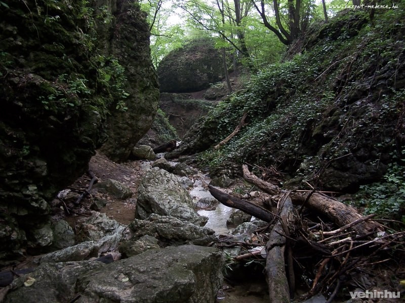A Kőmosó-szurdok (fotó: www.karpat-medence.hu)