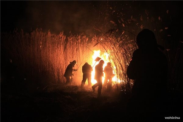 Fotók: Nagy Lajos (MTI)