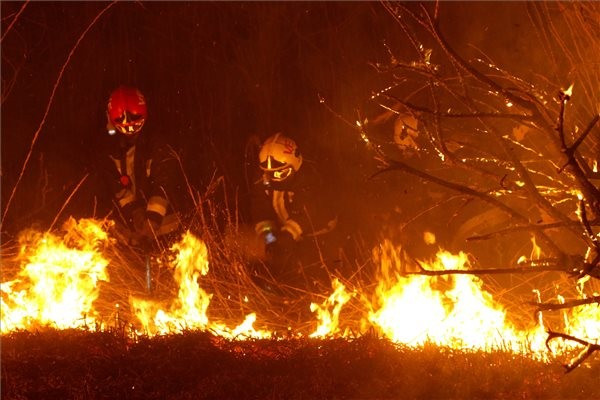 MTI-fotó: Nagy Lajos