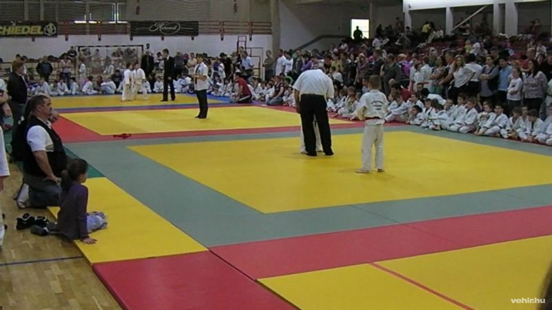 Fotók: veszpremjudo.hu