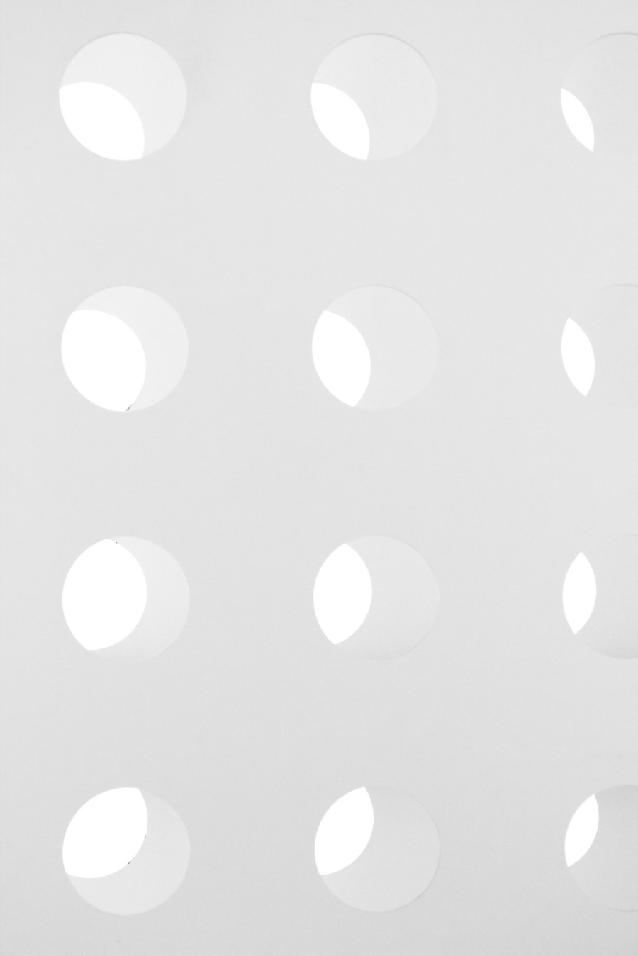 Robitz Anikó alkotása