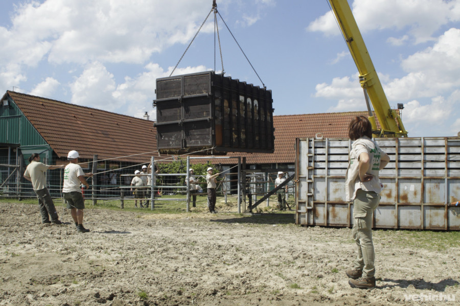 Fotók: Veszprémi Állatkert