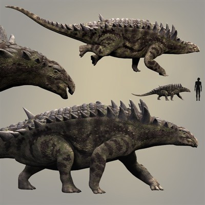 Ilyen lehetett a hungarosaurus