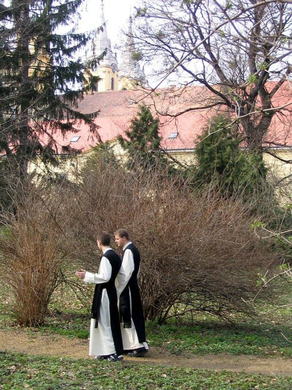 Ciszterci szerzetesek a zirci apátság kertjében (Fotó: katolikus.hu)