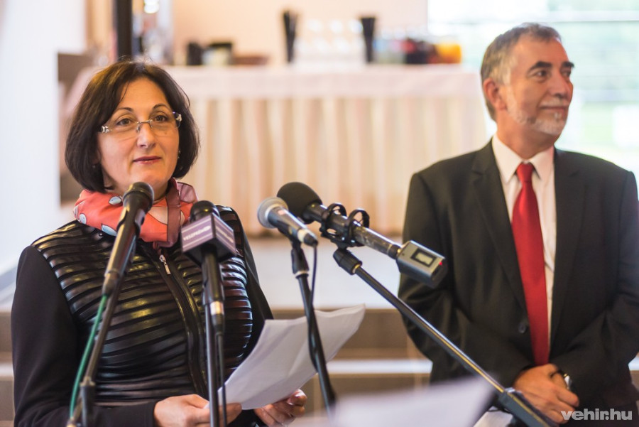 Brányi Mária és Halmay György