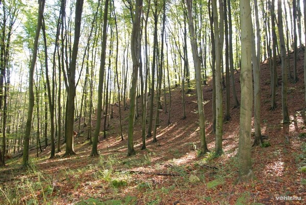 A megmérettetésre ragyogó időben került sor - Fotók: Miskey Péter