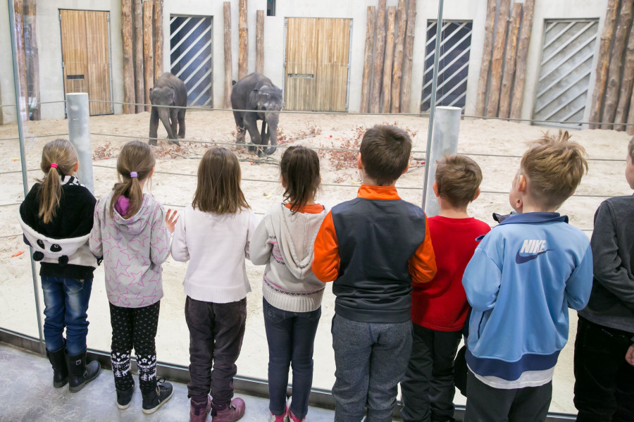 Fotók: Veszprémi Állatkert