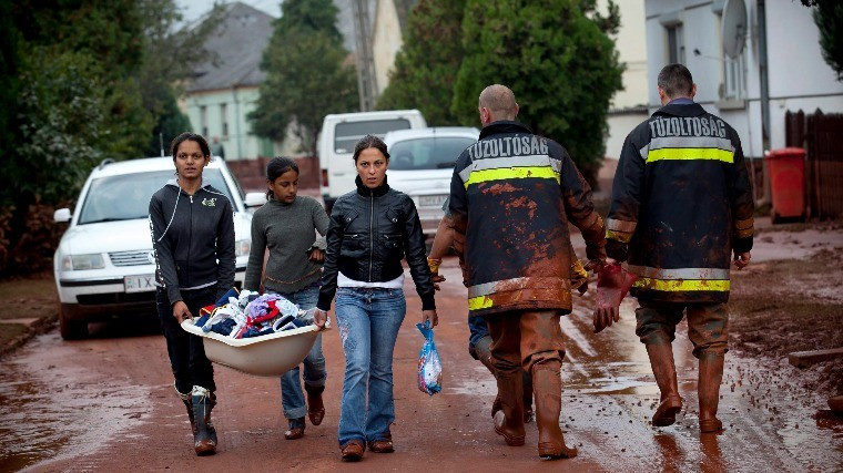 mti fotó-mohai balázs