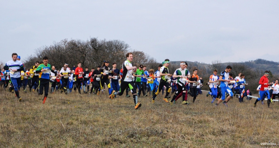 A tömegrajt pillanata - Fotók: Bálint Mónika