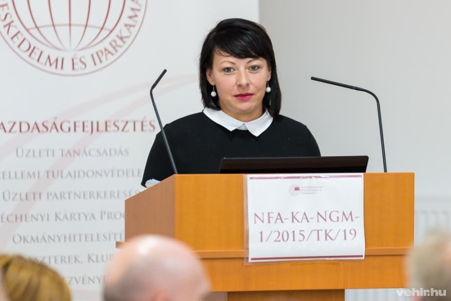 Vörös-Gubicza Zanett