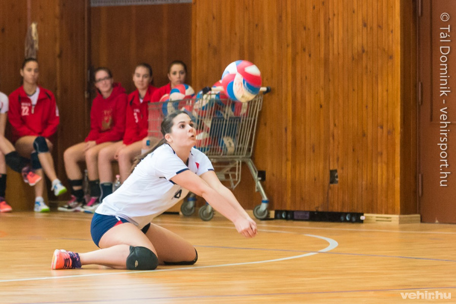 Nem termett babér a VESC-nek (archív fotó)