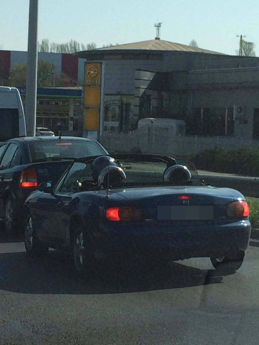 Fotó: Kedves Olvasónk, István