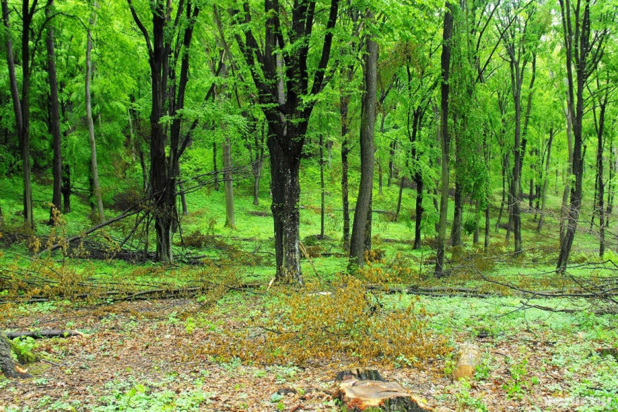 Fotók: Bálint Mónika