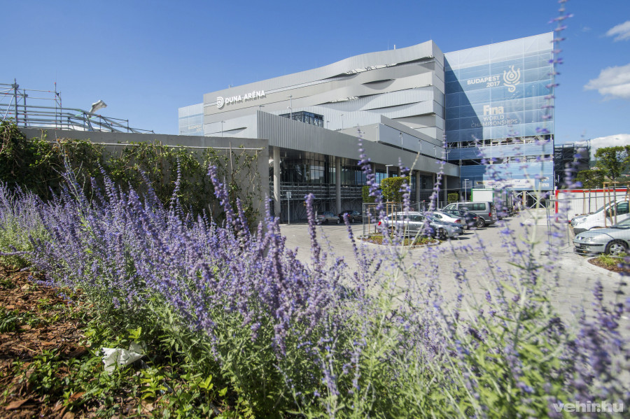 MTI Fotó: Balogh Zoltán