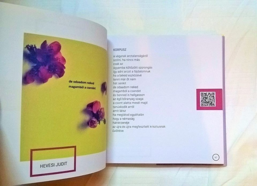 Fotók: InstaVers FB