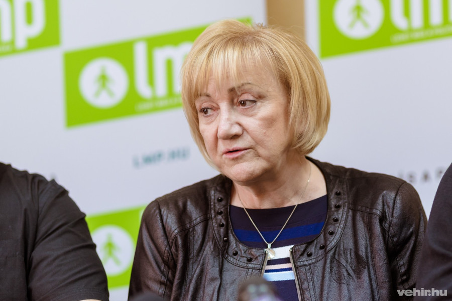 schmuck erzsébet a szerda déli jelöltbemutatón veszprémben