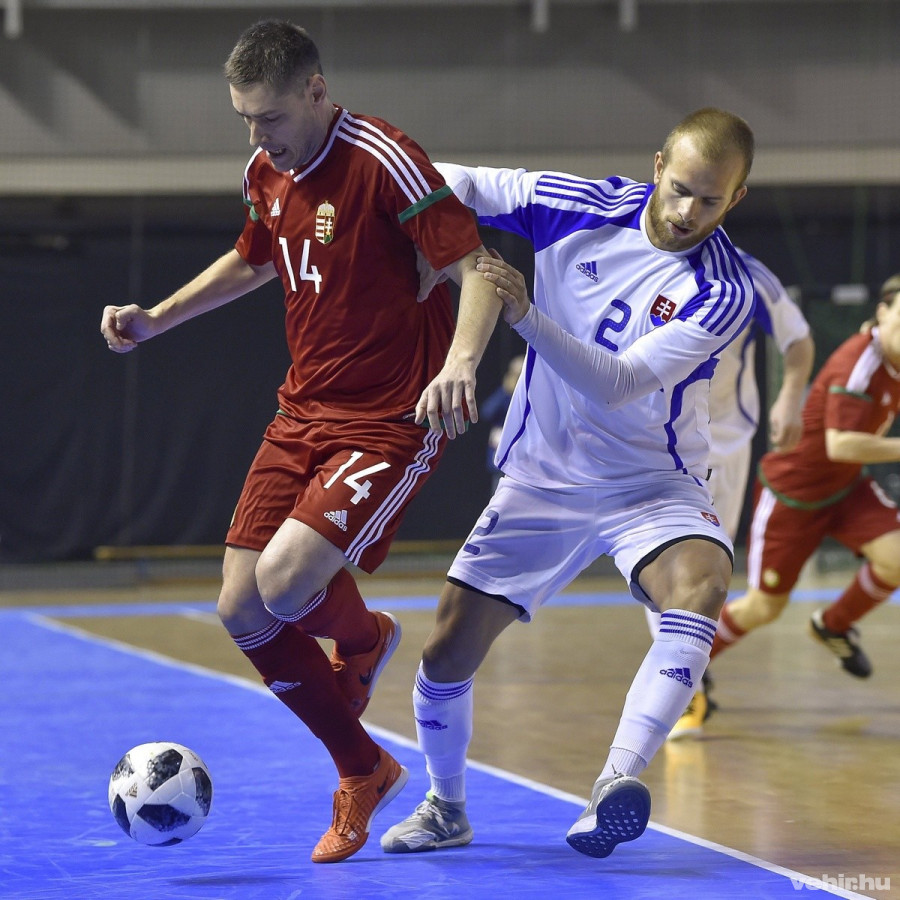 MTI Fotó: Czeglédi Zsolt 