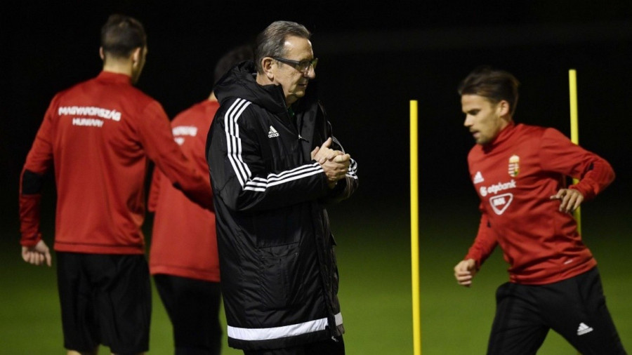 Georges Leekens, fotó: MLSZ.hu