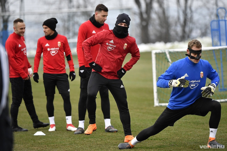 MTI Fotó: Illyés Tibor 