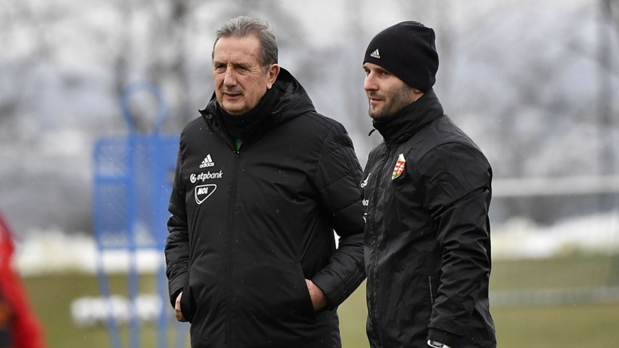 Georges Leekens és Szélesi Zoltán