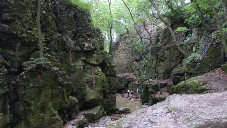 A bakonynána közeli Római-fürdő szurdok. (illusztráció)