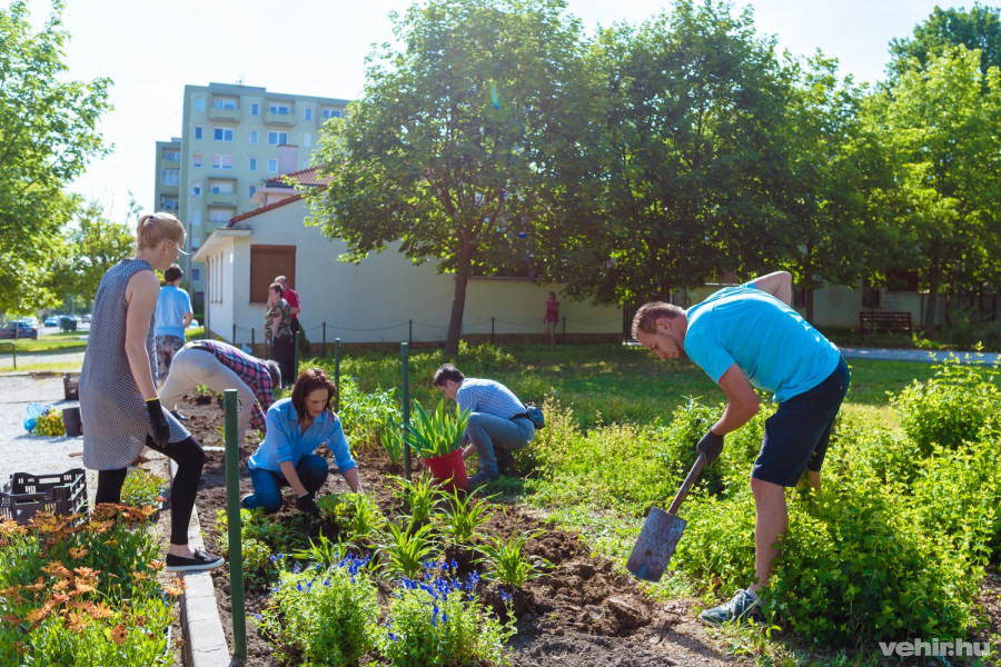 Bárki hozhatott saját növényeket