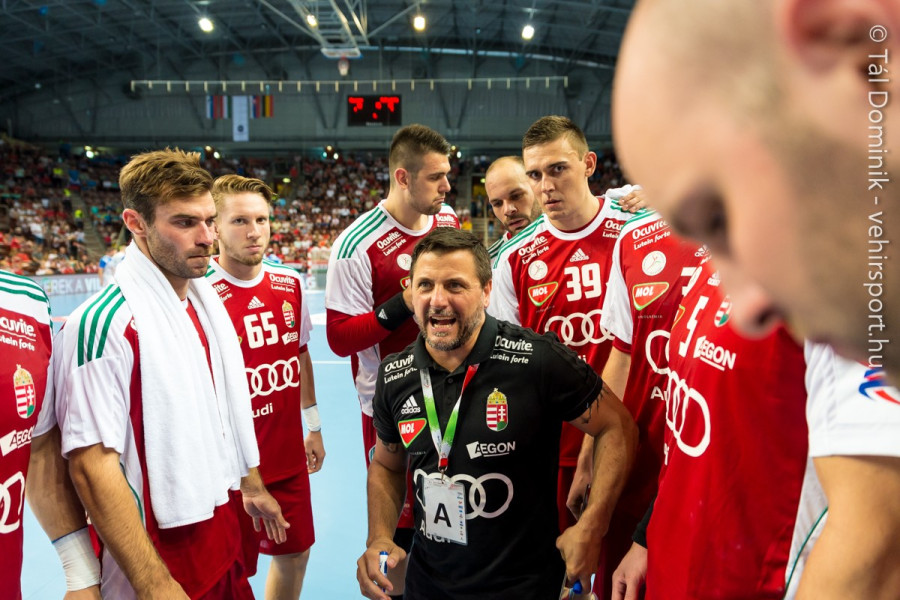 Vranjes vezetésével jutott ki a vb-re a magyar válogatott (archív fotó)