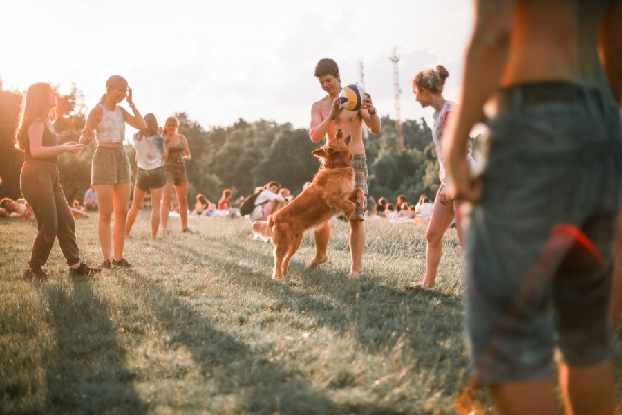 Normafun /Fotó: Stein Zsófi