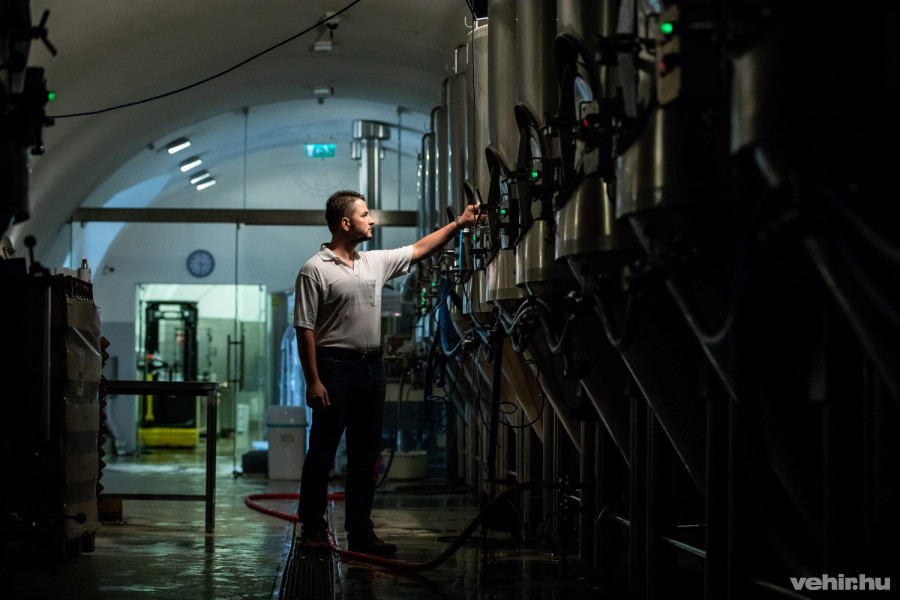 Kovács Krisztián sörfőző mester vezetett körbe az apátsági manufaktúrában