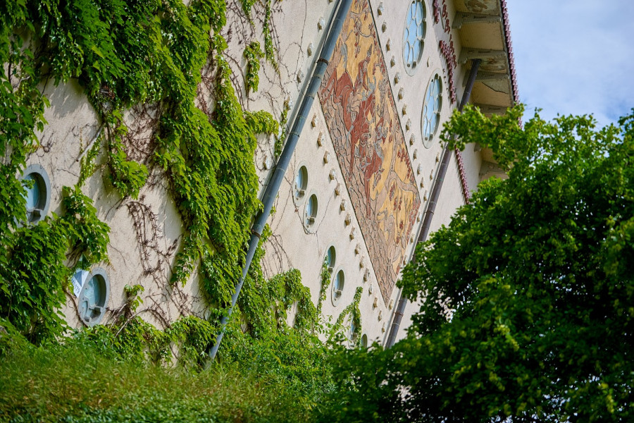 A klasszikus borostyánfal mondhatni a modern zöldfal elődje / Fotó: Domján Attila