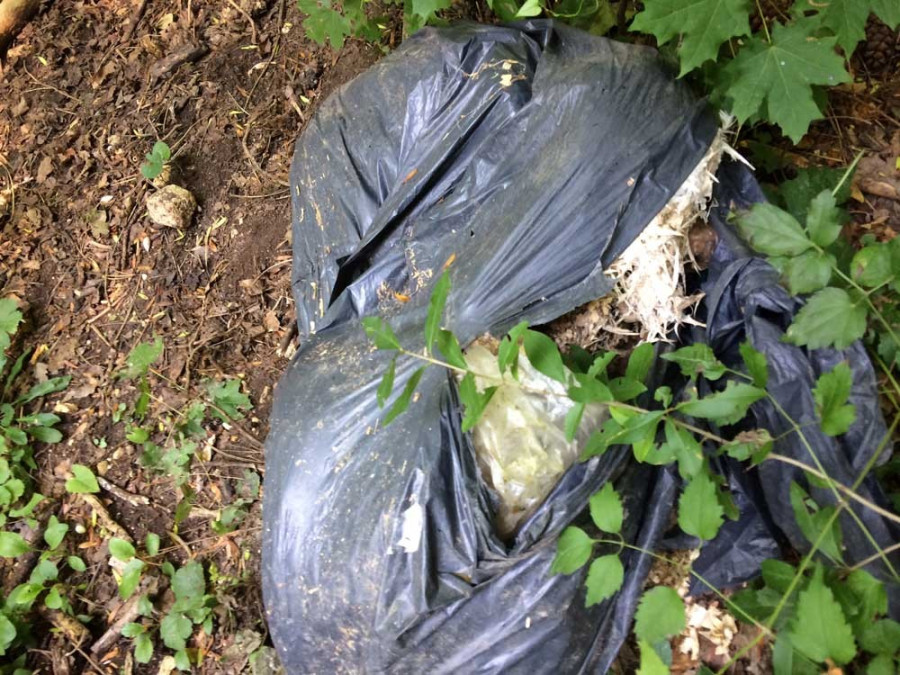 Fotó: hulladékvadász.hu