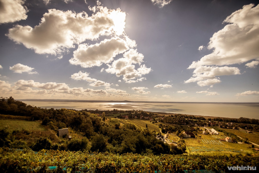 Laposa Bence szerint látszik a fejlődés a Balaton körül