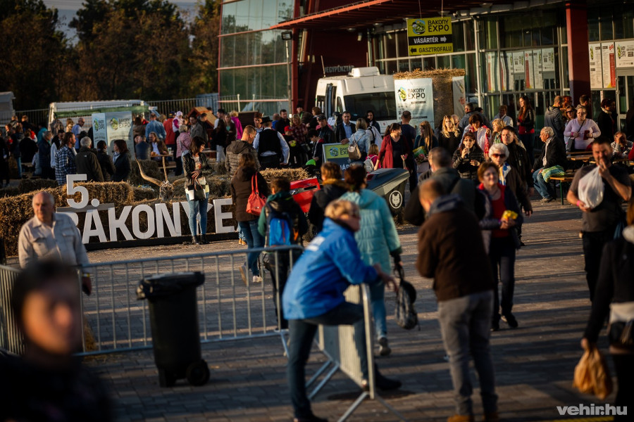 Idén szabadtéren, szigorú szabályok betartásával rendezik meg az expót