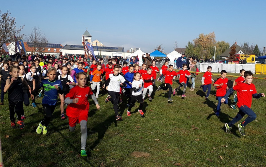 Fotók: Kungl József