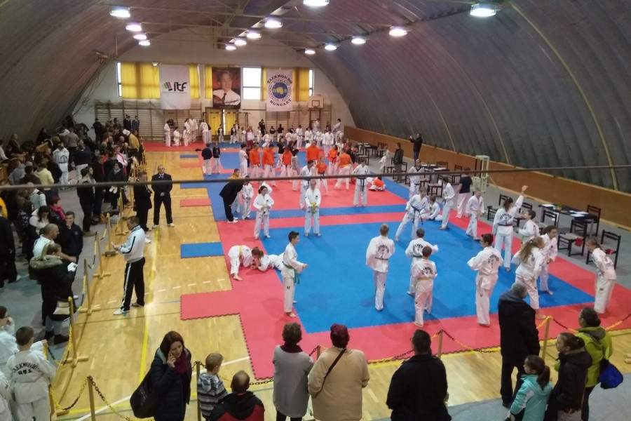 Öt tatamin zajlottak a küzdelmek - Fotó: Csibi Erzsébet