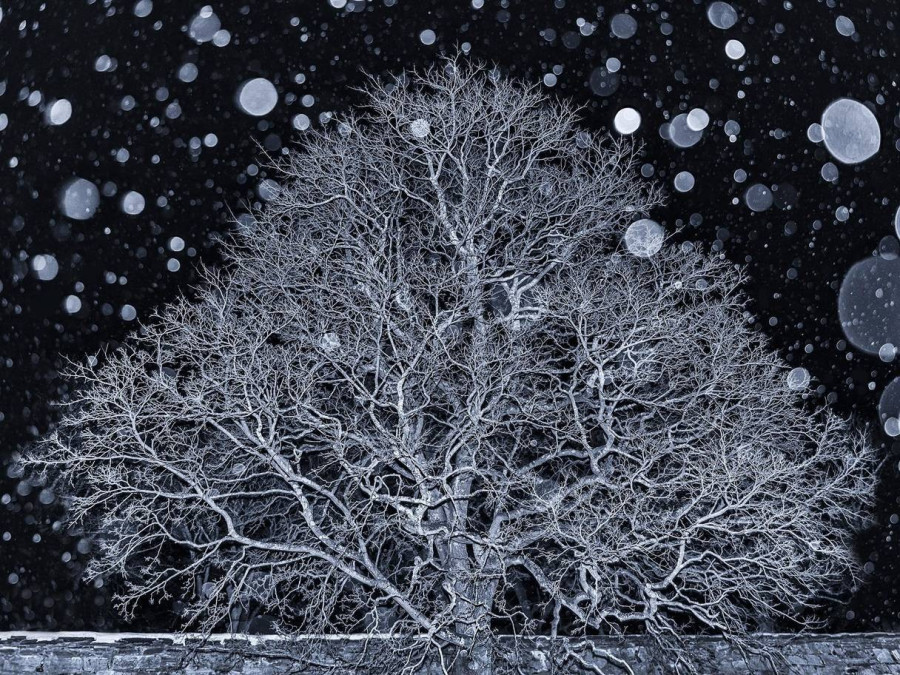 Fotó: ann kristin lindaas