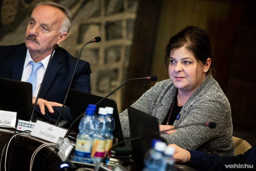 Baumgartner Lajos, Tóth Györgyi