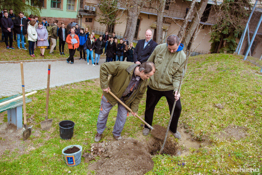 Emlékfát ültettek az iskola udvarán