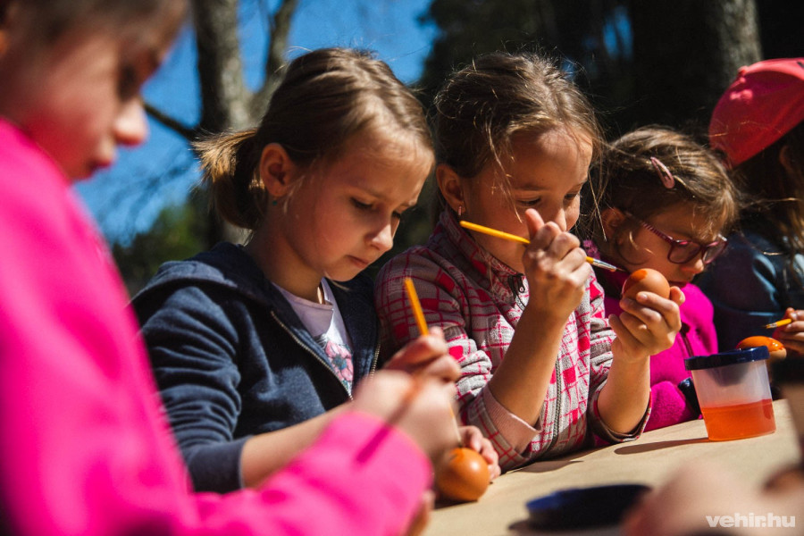 Ocelot vagy zebramintás legyen?