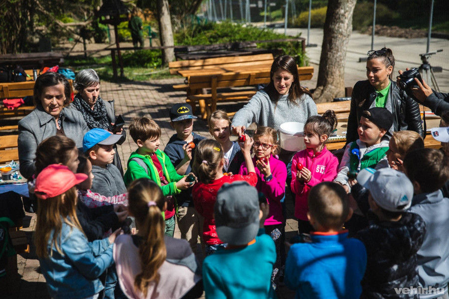 Melyik lett a legszebb?