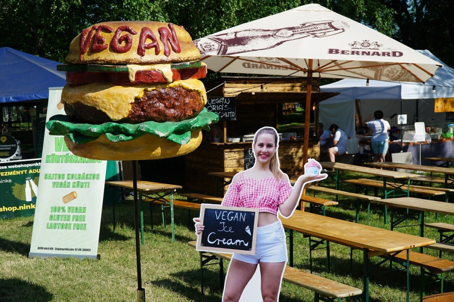 fotó: Balaton fesztivál