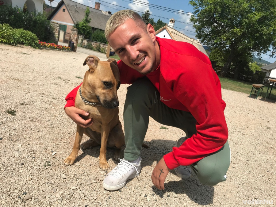 Kiliti Róbert boldog, hogy visszatérhet Veszprémbe