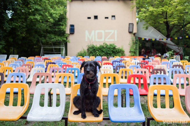 Fotó: Soós Bertalan, mozinezo.hu