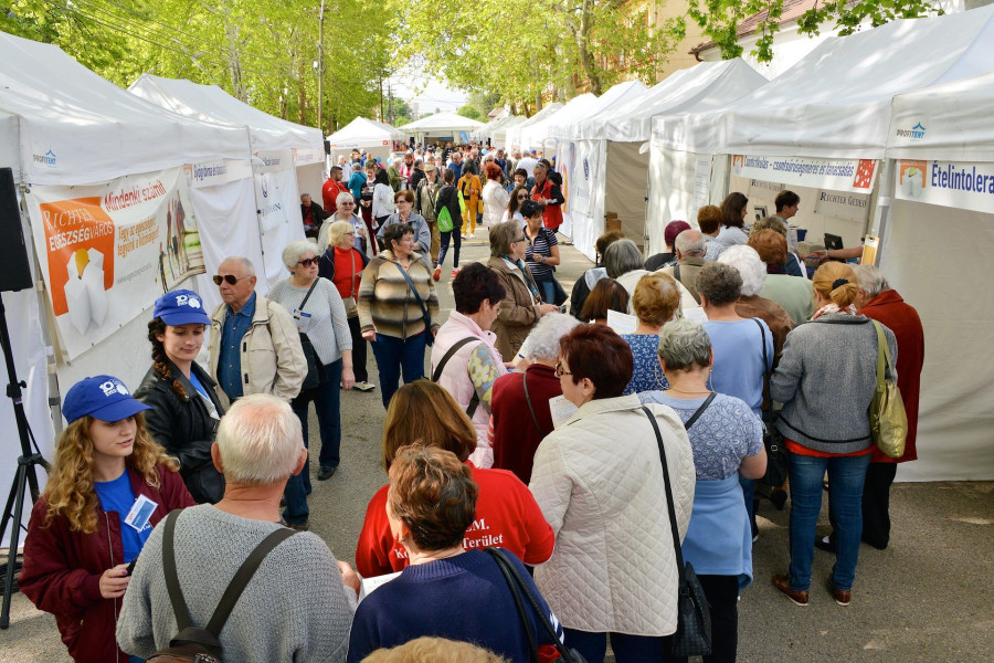 Illusztráció: Richter