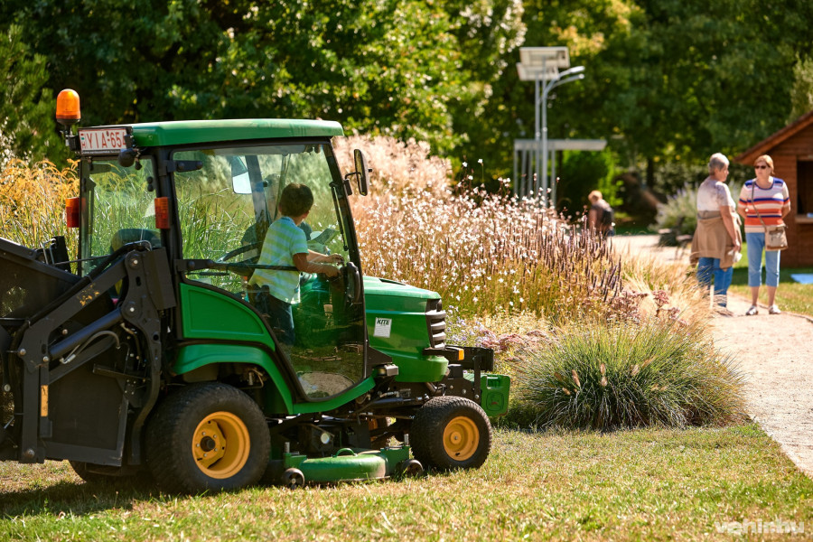 A tavalyi Vadvirágos Piknik