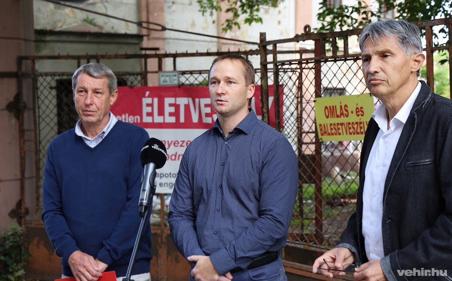 Hartmann Ferenc, Somfai Attila és Katanics Sándor